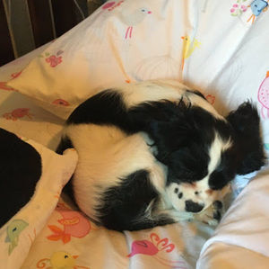 Meet your Posher, Emerson